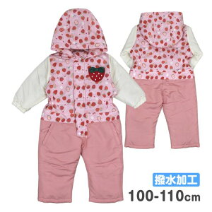 WvX[c LbY ̎q  H  t[ht Jo[I[S1FyZ[z