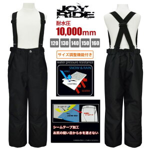 XL[pc Pi LbY WjA j̎q ̎q TCY߉ ϐ10000mmS2F