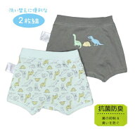 【メール便送料無料】下着 ボクサー ブリーフ 恐竜 ベビー キッズ 子供 2枚組 パンツ 抗菌 防臭☆全1色