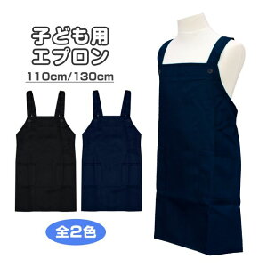 y[֑zGv H^ q LbY j̎q ̎q p n }WbNe[v  S2F