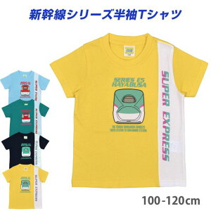 y[֑z TVc LbY j̎q V q  gbvX Vc 100S4FyX[p[Z[z