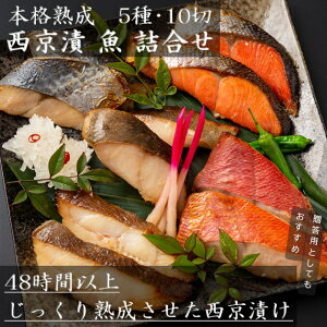 {in Ђ  l Ε NMtg 蕨 v[g Mtg  NO ₾ ڑ  g@G   XЂ  l O  ؂g