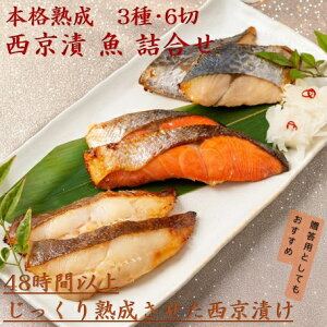 Ε {in Ђ  l NMtg 蕨 v[g Mtg  NO ₾ gWP   XЂ  l O  ؂g  