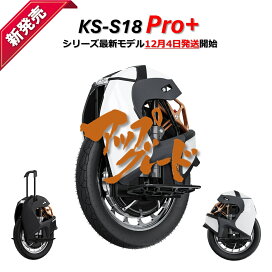 YAMAHA AQUA CRUISE シースクーター アクアクルーズインフレータブル 