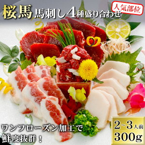 yyVX[p[Z[|Cg10{IIzynznh 4퐷 Hה 300g (ԐgAt^GSARElAgbP) Ԑgnh ܏ݖt n qǗ۔F؎擾 Ԑg VN