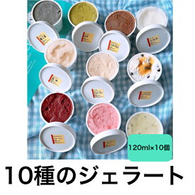 10種のジェラート 120ml×10個 ジェラート アイス クリーム 濃厚 黒ごま いちご ミルク 生キャラメルチョコ ベルギーチョコ 抹茶 キウイ ラムレーズン 玄米 ブルーベリー ジャージー牛乳 フルーツ ギフト プレゼント 冷凍 スイーツ 熊本 小学生 お取り寄せ 父の日 子供