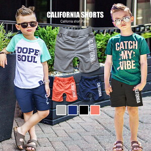 CALIFORNIA n[tpc XEFbg {gX pc Y{ S EGXgS y WjA LbY ct w w j̎q ̎q n vg JWA bNX [EF