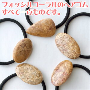 wAS tHbVR[  wAANZT[ X艻  s LbY VR lۂ p[Xg[ Vv   _ _ wAANZ ANZT[ J{V