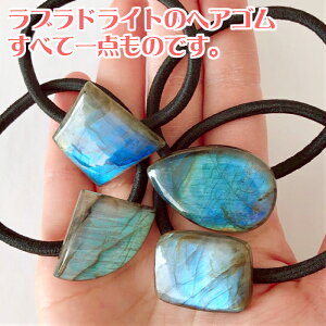 wAS uhCg lۂ 킢  wAANZT[  s LbY VR p[Xg[ Vv   _ _ J{V  y[