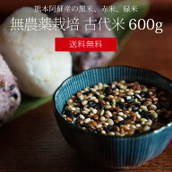 阿蘇のなか古代米 600g / 黒米、緑米、赤米 / 無農薬栽培 / 九州 熊本 阿蘇産 / 国産 / 雑穀