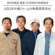 令和7年度産 有機栽培 ASO北外輪ファームのお米 5kg / ヒノヒカリ、くまさんの輝き / 無農薬・無化学肥料…