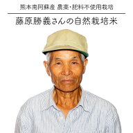 令和7年度産 自然栽培米 / 藤原勝義さんのお米 5kg / ヒノヒカリ / 無農薬・無肥料栽培 / 玄米・白米・分…