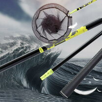 楽天市場】玉網 タモ網 伸縮式 4m（フィッシング｜スポーツ 