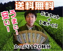〜昔風味〜お茶屋さんの特上自家用茶100g×5本セット+1本サービス=合計6本【八女茶】【送料無料】お茶日本茶緑茶煎茶焙じ茶番茶粉茶☆キャンペーン特価!※メール...