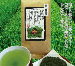 ほんのり渋みが、和菓子にぴったり…特上煎茶 100gお茶日本茶緑茶煎茶粉茶番茶ほうじ茶10P13Nov14