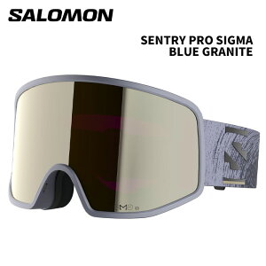 SALOMON �T������ �S�[�O�� SENTRY PRO SIGMA BLUE GRANITE L47898800 25-26 ���f��