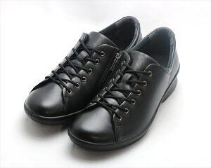 [ASAHI]ATq fB[XEH[LOV[Y fBJEH[NCC L027 KV30115 ubN