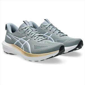 [asics]�A�V�b�N�X���f�B�[�X�����j���O�V���[�YGT-1000 14(1012B859)(020)�O���x��/�z���C�g