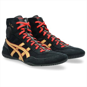 [asics]AVbNXXOV[YDAN GABLE EVO 3(1081A052)(002)ubN/sAS[h