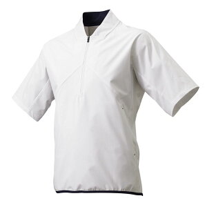 GXGXPC n[tZIP{fBOWPbg BWP2003H 10 zCg