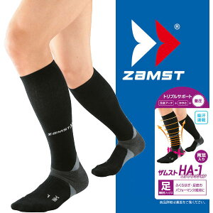 UXg HA-1 RvbV\bNX LTCY 375403 ubN