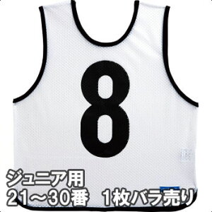 y2܂Ń[։z e WjApQ[xXg1 21ԁ`30 GB0012-W zCg