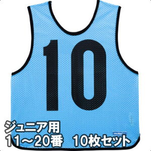 �����e�� �Q�[���x�X�g �r�u�X �W���j�A�T�C�Y 11�`20�Ԃ�10���g GB0212-SK �T�b�N�X