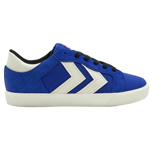 �q�������� DECADE LX-E HM216021 8678 �u���[