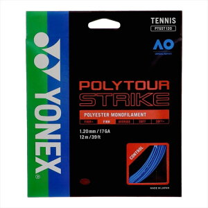 y1_܂Ń[։z[YONEX]lbNXdejXKbg|cA[XgCN120(PTGST120)(002)u[