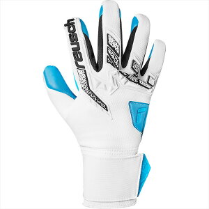 [reusch]CV L[p[O[u AgNg t[Q ANA 5570439 1126 zCg×ubN×ANAu[