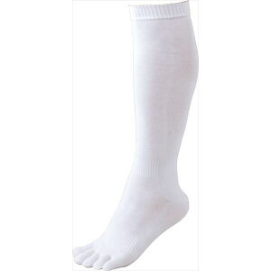 [bg싅 3g 5{wA_[\bNX BK035L 1100 zCg