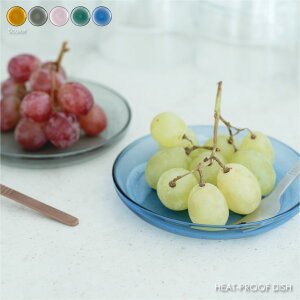 amabro HEAT-PROOF DISH v[g  M ϔMKX KX   CeA G fUC 킢 Mtg v[g 蕨 k ϔM H@Ή WΉ Lhz_[ 