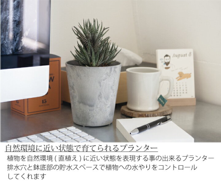 楽天市場 新色テラコッタ追加 Amabro Art Stone Sssサイズ アートストーン 鉢 植木鉢 プラスチック グレー ブラック ブラウン ネイビー テラコッタ オレンジ 3号 4号 Asquisse