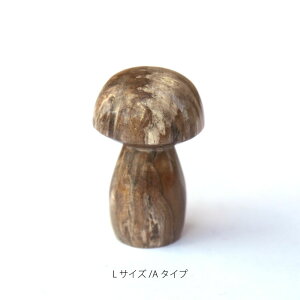 amabro MUSHROOM STONE -Petrified Wood- IuWF u ̂ }bV[ fBXvC  ς X X  ] ؐ Ebh  킢 Vv a a_ _ AeB[N