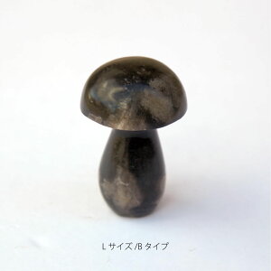 amabro MUSHROOM STONE -Petrified Wood- IuWF u ̂ }bV[ fBXvC  ς X X  ] ؐ Ebh  킢 Vv a a_ _ AeB[N