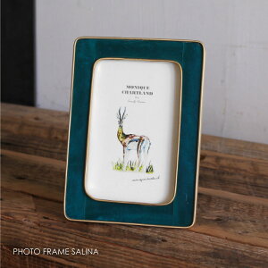 PHOTO FRAME SALINA tHgt[ ʐ^ Ǌ| O[ Ebh ؐ  j 킢 AeB[N CeA IuWF LO u ^J uX S[h i` k 