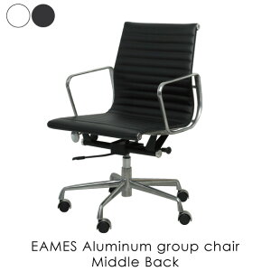 yzEAMES Aluminum group chair Middle Back C[Y A~i`FA ֎q CX v_Ng ItBX`FA  ~bhZ`[ fUCi[Y S2F KL-701