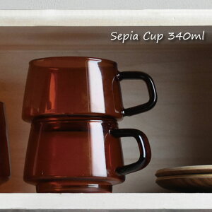 y[zKINTO SEPIA }O 270ml }OJbv KX R[q[ Ao[ ϔMKX Lg[  X^bLO 