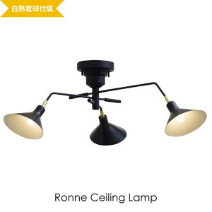 �y���M�d���t���zINTERFORM Ronne �V�[�����O���C�g �X�|�b�g���C�g �p�x���� �A���O�� �����R�� �Ɩ� �� �z���C�g �� �u���b�N ���킢�� �i�`������ �A���e�B�[�N �k�� ���g�� 4.5�� 6�� 180W LED LT-