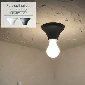 AXCIS ANVX Flare V[OCg VƖ LEDΉ  k _ Vv X^CbV ACA |V[OΉ dCHsv { zCg O[  L 