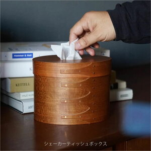 AXCIS VF[J[eBbV{bNX eBbVP[X Wt Eh  ȉ~ I[o eBbVJo[ eBbV  [ t^  _ Vv k CeA ؖ Ebh 