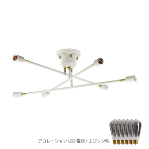 LbN V[OCg (fR[VLEDdt) 6 R VƖ LED _CjO JE^[ ItBX _ Vv zeCN Ɩ Ɩ Cg k  