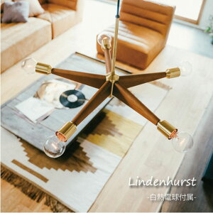 yMdtzINTERFORM Lindenhurst 5 y_gCg S[h Ebh C^[tH  CeA Cg v 8 10 E26 300W LT-3407/LT-3408