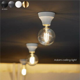 【BS 5月下旬入荷分予約受付中】ART WORK STUDIO Adam-ceiling light 1灯 北欧 モダン シーリングライト ダウンライト トイレ 階段 洗面所 玄関 廊下 天井 シンプル 照明 照明器具 おしゃれ コンパクト 小型 60W LED ブラック グレー ホワイト ブラス AW-0634Z