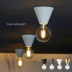 ARTWORK STUDIO Eden-ceiling light 1 k _ V[OCg _ECg gC Ki ʏ  L V Vv Ɩ Ɩ  RpNg ^ 60W LED ^J uX S[h 