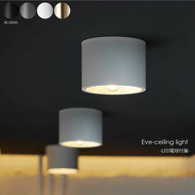 【BK 5月下旬入荷分予約受付中】ART WORK STUDIO Eve-ceiling light(LED電球付属) 1灯 北欧 モダン シーリングライト ダウンライト トイレ 階段 洗面所 玄関 廊下 天井 シンプル 照明 照明器具 おしゃれ コンパクト 小型 25W LED ブラック グレー ホワイト ブラス AW-0635E