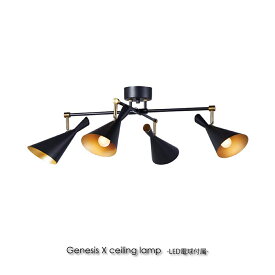 ARTWORK STUDIO Genesis-ceiling lamp (LED電球付属) 4灯 シーリングライト 明るい 照明 照明器具 北欧 アンティーク モダン おしゃれ スポットライト ダイニング モダ・・天井 シンプル ライト ランプ 6畳 8畳 LED AW-0567E