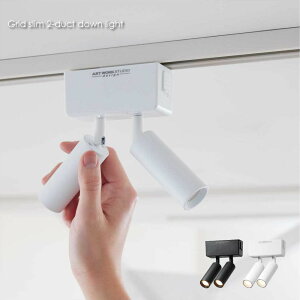 ARTWORK STUDIO Grid slim 2-duct down light 2 k  F px _Ng[p X|bgCg CeBO[ V[OCg zeCN WpfB Vv Ɩ Ɩ k 