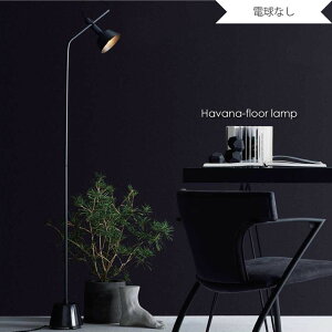 ARTWORK STUDIO Havana Floor Lamp(dȂ) k _ tACg u AeB[N rO Q xbh[ ubN  嗝 g Vv Ɩ Ɩ  40W AW-0529Z