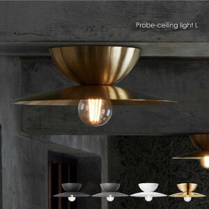 ARTWORK STUDIO Probe-ceiling light L 1 k _ V[OCg _ECg gC Ki ʏ  L V Ɩ  RpNg ^ 60W LED ^J uX S[h ubN z